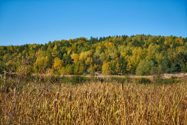 Herfst