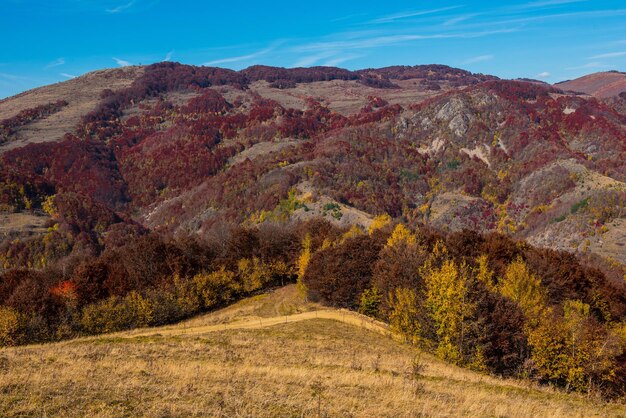 Herfstbeeld in de bergen