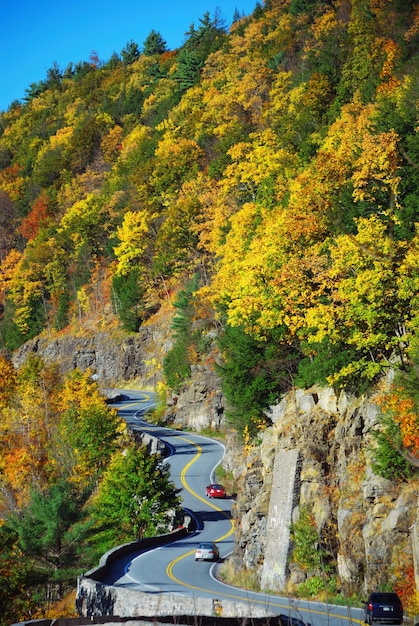 Herfstberg met kronkelende weg