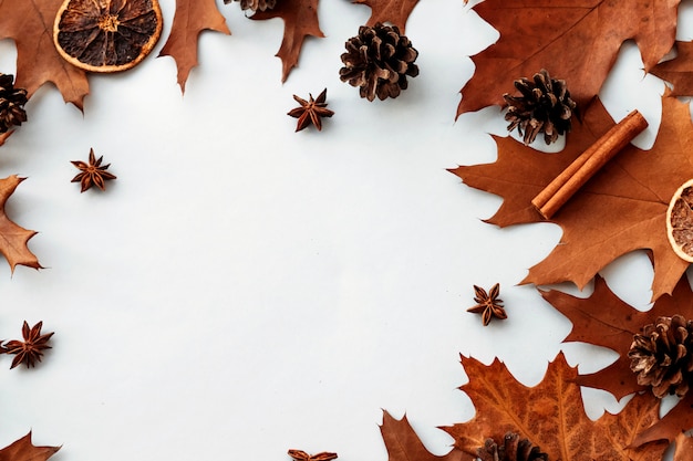 herfstbladeren achtergrond met dennenappels