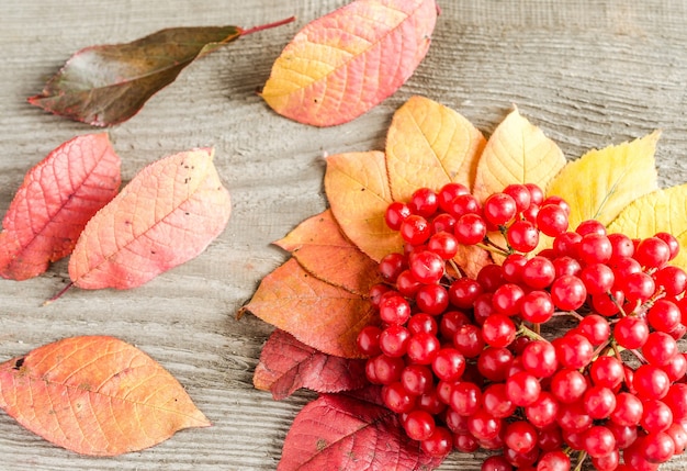 Herfstbladeren en bessen op houten tafel