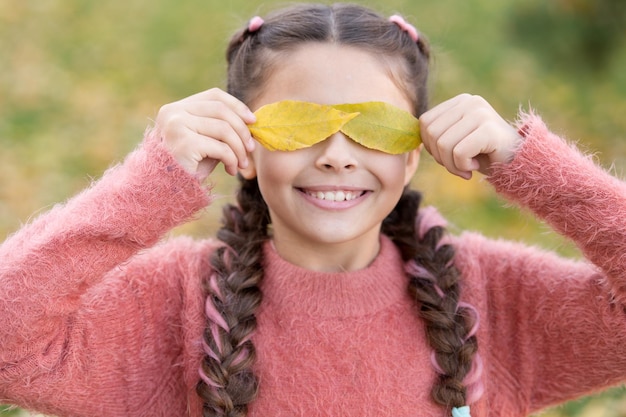 Herfstbladeren en de natuur Gelukkige jeugd Schooltijd Klein kind met herfstbladeren Gelukkig meisje in herfstbos Blij om in de buurt te zijn Droog en beschermd voelen Goed humeur bij elk weer