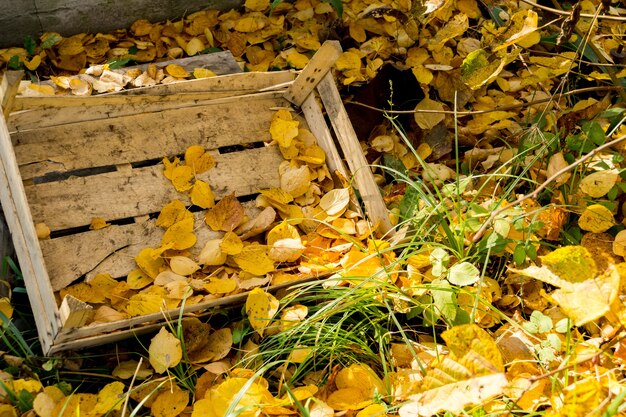 Foto herfstbladeren en houten kist