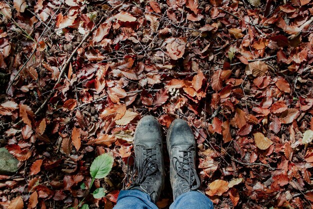 Herfstbladeren en laarzen