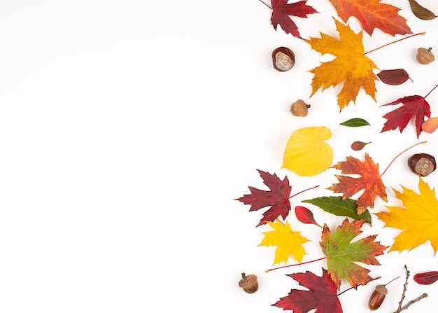 Herfstbladeren grenskader geïsoleerd op een witte achtergrond met kopie ruimte voor tekst. ontwerp gebruik