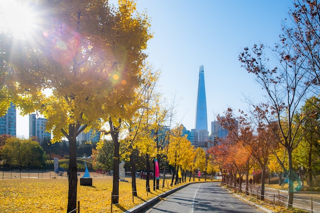 Herfstbladeren. Herfst landschap. Seoul Olympisch park in Zuid-Korea.