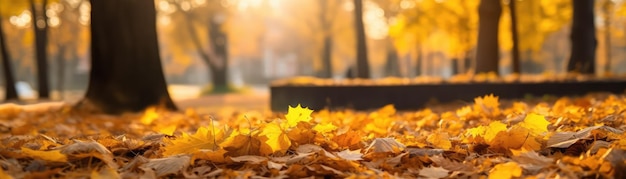 Herfstbladeren In Een Park Met Een Softfocus Golden Hour Banner Voor Web Generatieve AI