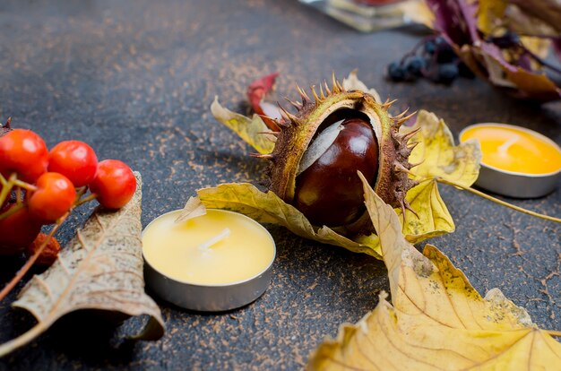 Herfstbladeren, kastanjes, kaarsen op een donkere achtergrond