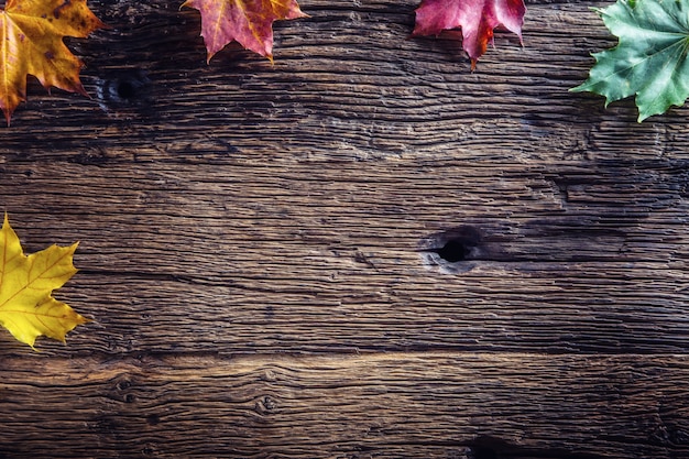 Herfstbladeren. Kleurrijke herfstbladeren op rustieke houten tafel.