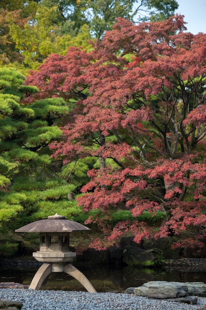 Herfstbladeren landschap met Japanse tuin in Japan