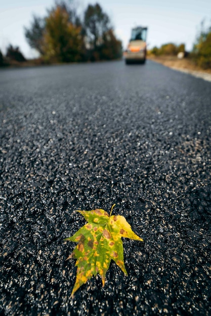 Herfstbladeren op asfaltweg