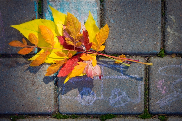 Herfstbladeren op bestrating platen, bovenaanzicht.