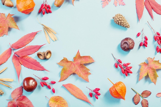 Herfstbladeren op blauw papier achtergrond