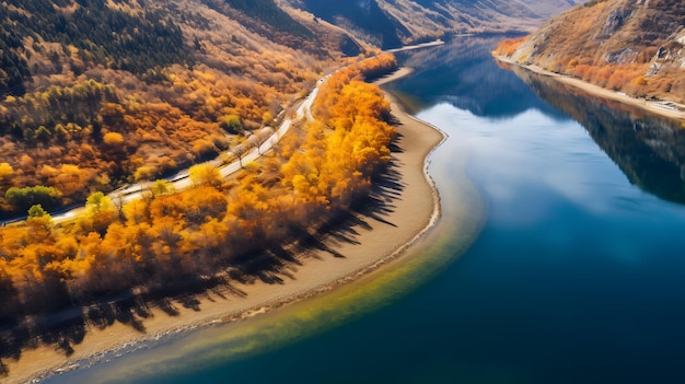 Herfstbladeren op bosachtergrond