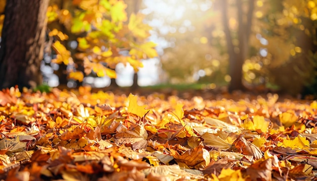 Herfstbladeren op de grond in het park Natuurlijke achtergrond Ai gegenereerd