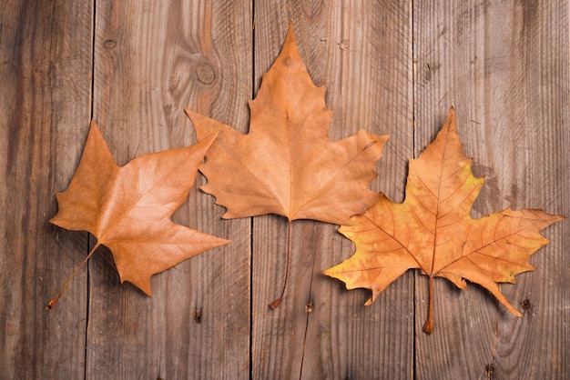 Herfstbladeren op een houten achtergrond