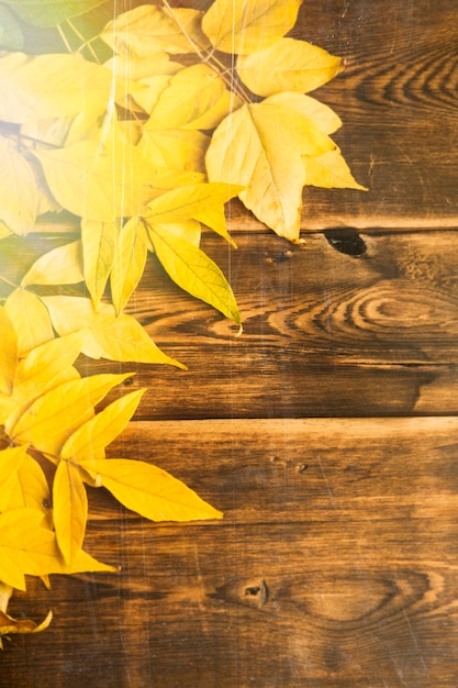 herfstbladeren op een houten ondergrond