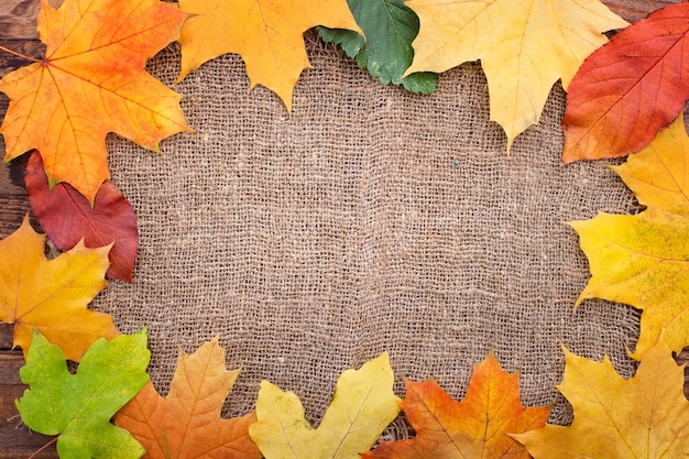 Herfstbladeren op een linnen doek