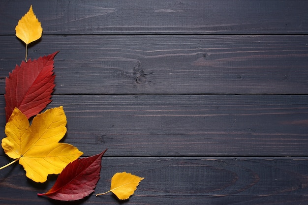 Herfstbladeren op een zwarte achtergrond kopie ruimte