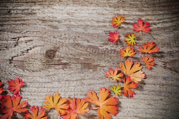 Foto herfstbladeren op houten achtergrond