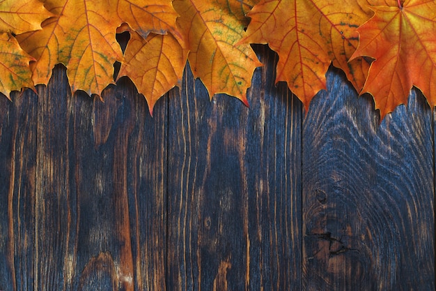 Herfstbladeren op houten achtergrond