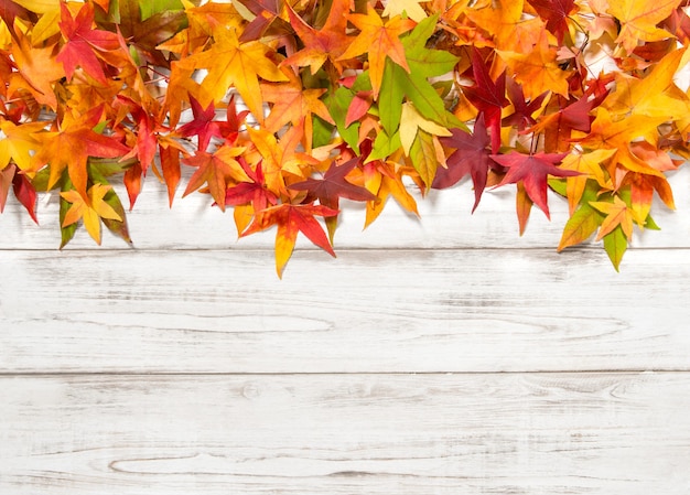 Herfstbladeren op lichte houten achtergrond. Geel, rood, groen blad