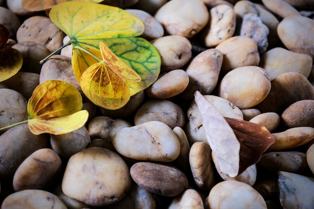 Herfstbladeren op stenen achtergrond