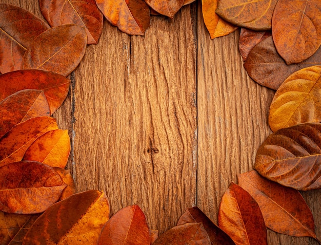 herfstbladeren op vintage oude houten achtergrond kopie ruimte