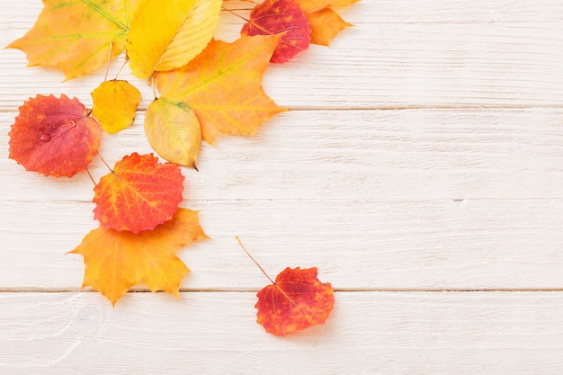 Herfstbladeren op witte houten muur