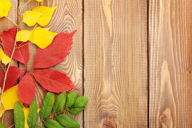 Herfstbladeren over hout achtergrond