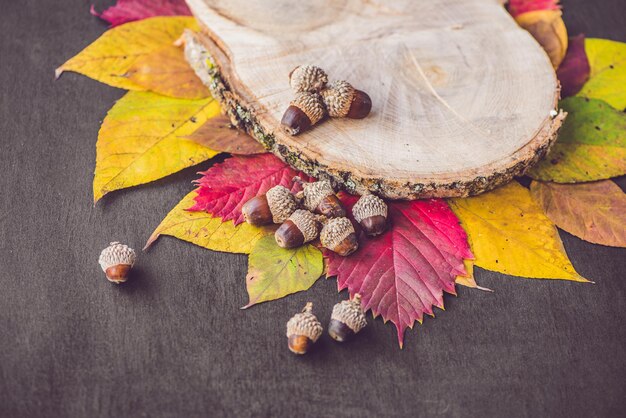 Herfstbladeren over houten achtergrond met kopie space