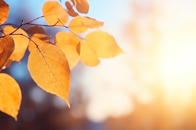 Herfstbladeren tegen de lucht.