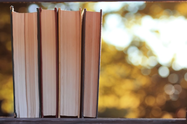 Herfstboek stapel houten buiten