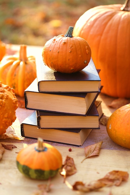 Herfstboeken. Halloween boeken. Gezellige herfststemming.