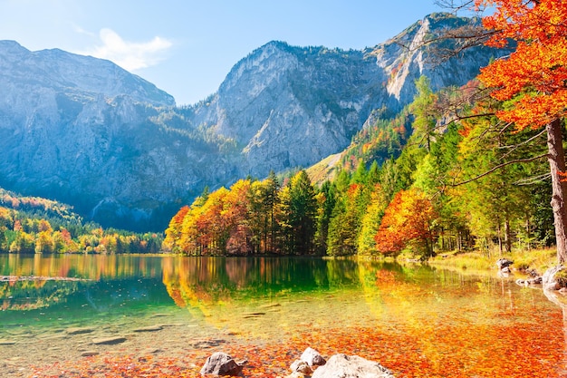 Herfstbomen aan de oever van het Hinterer Langbathsee-meer in de bergen van de Alpen, Oostenrijk.