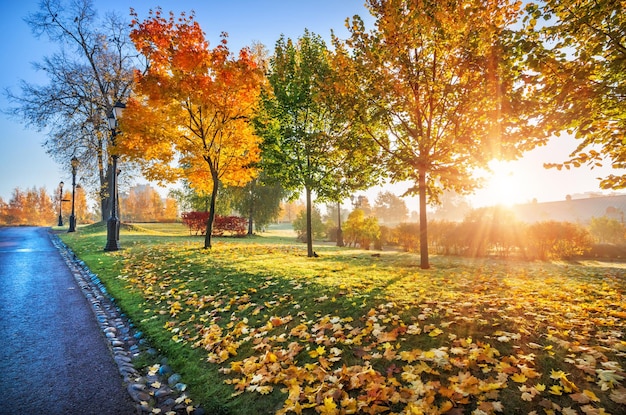 Herfstbomen en paleis in Tsaritsyno-park in Moskou