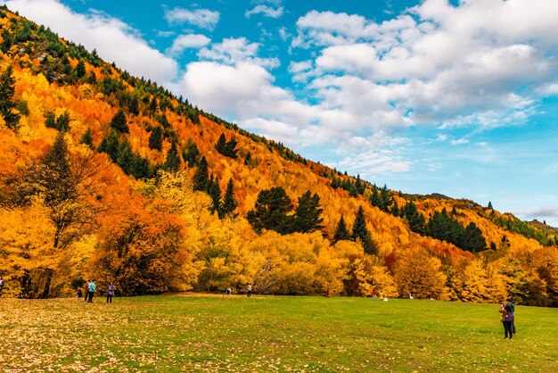 herfstbomen in arrowtown, nieuw-zeeland