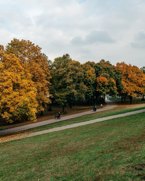 Foto herfstbomen in het park tegen de lucht