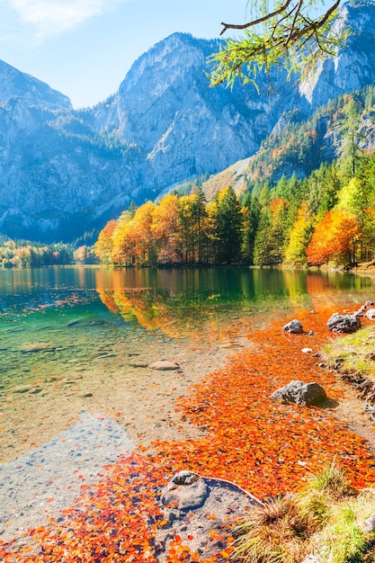 Herfstbomen met roodgele bladeren aan de oever van het meer in de bergen van de Alpen, Oostenrijk