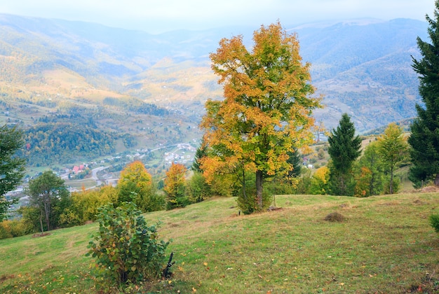 Herfstbomen op Karpatische berghelling (en dorp in achterliggende riviervallei).