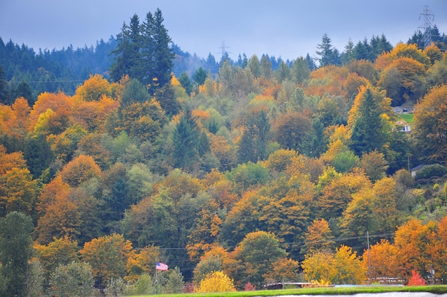 Herfstbomen tegen de lucht