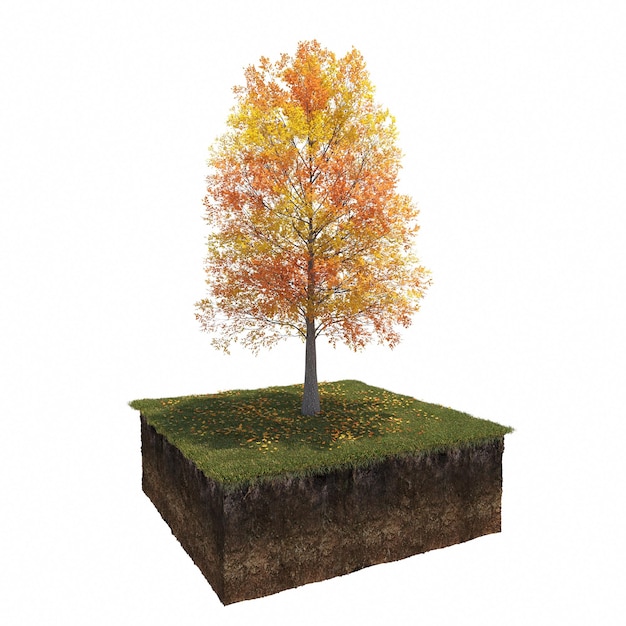 Herfstboom en grond eronder gesneden. Geïsoleerd tuinelement, 3D illustratie, cg render