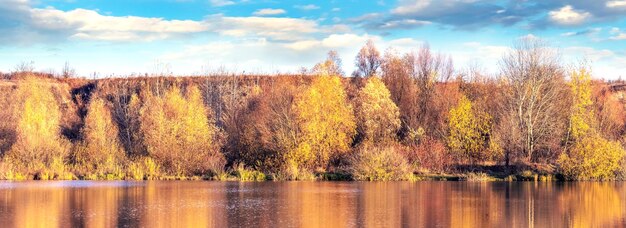 Foto herfstbos bij de rivier op een zonnige dag de weerspiegeling van bomen in het water