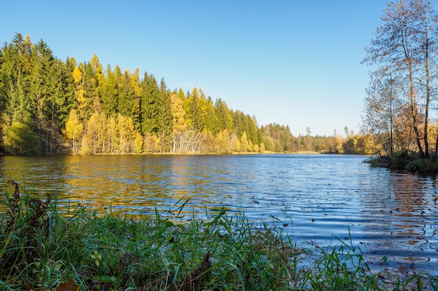 Herfstbos en vijver tsjechië