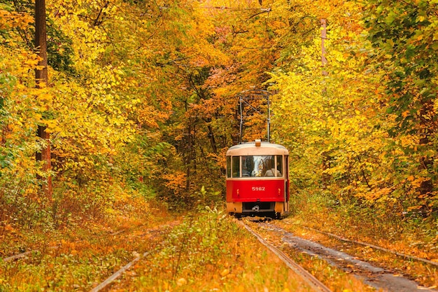 Herfstbos waar een oude tram door Oekraïne rijdt