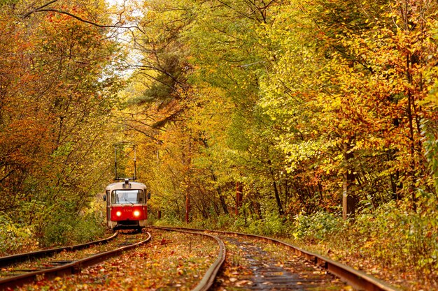 Herfstbos waar een oude tram door Oekraïne rijdt