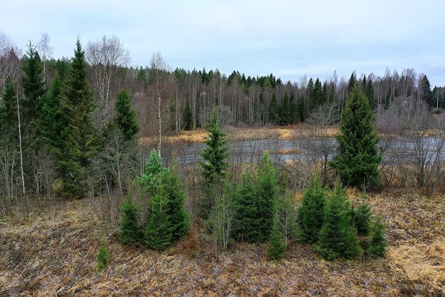 herfstbos zonder bladeren bovenaanzicht met drone, natuur achtergrondlandschap