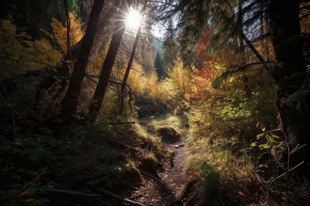 Herfstboswandeling met lage zonnestralen die door de bomen schijnen, gecreëerd met generatieve AI