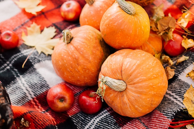 Herfstcompositie met pompoenen, esdoornbladeren en rode appels