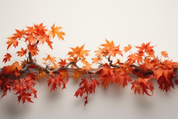 Herfstdag, herfst schoonheid, herfs schoonheid, oranje seizoen, gouden schoonheid, frisse kou, melancholie.